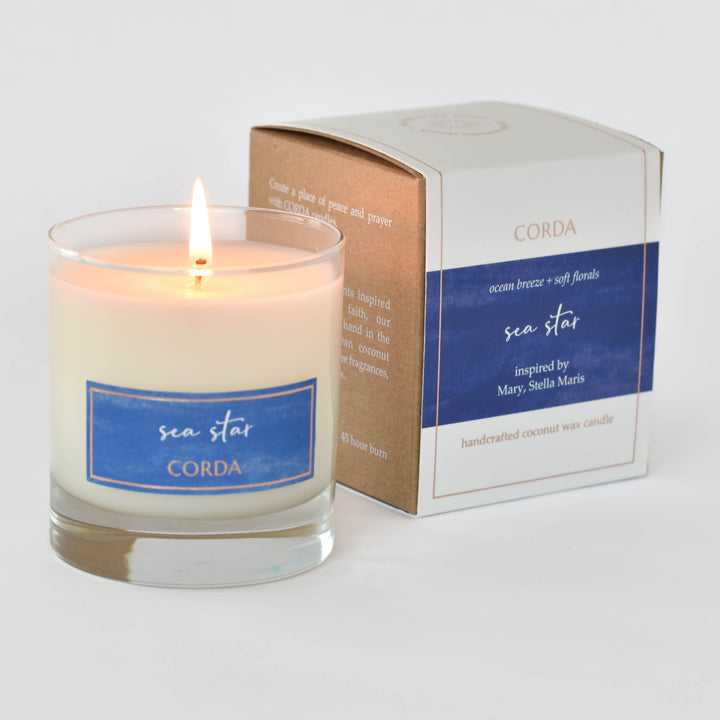 CORDA-sea-star-stella-maris-